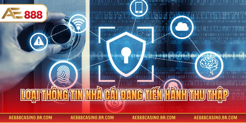 Loại thông tin nhà cái đang tiến hành thu thập