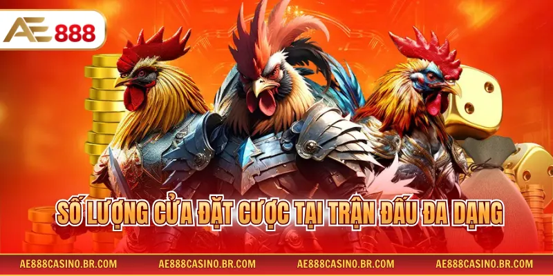 Số lượng cửa đặt cược tại trận đấu đa dạng