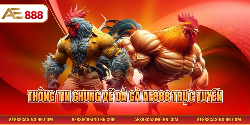 Thông tin chung về đá gà AE888 trực tuyến