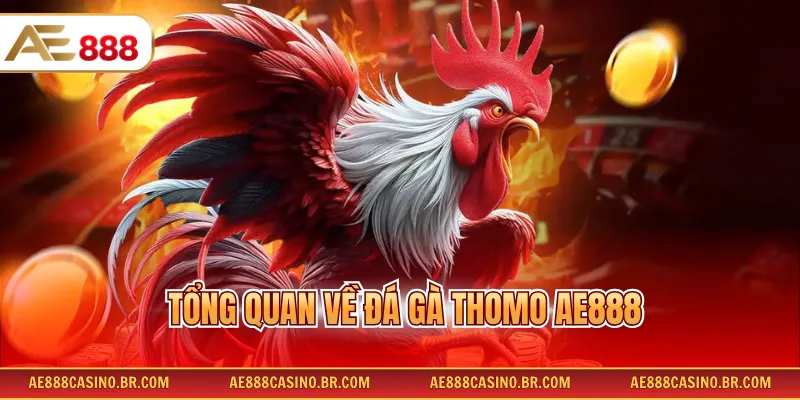 Tổng quan về đá gà Thomo AE888